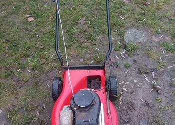 Kosiarka spalinowa do trawy.