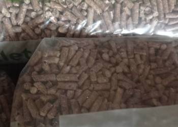 PELLET 6mm iglasty