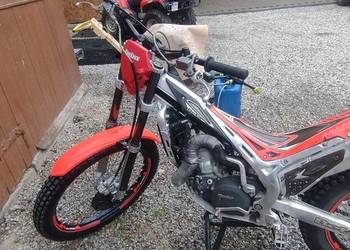 Beta evo 250 trial