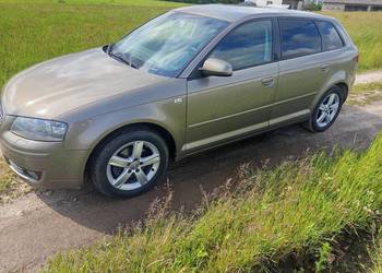 Audi S3 8P 2.0TDI 140KM