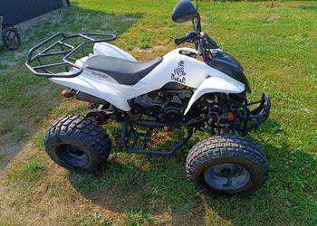 Quad ATV Kład 150/200 Bashan Zipp barossa kymco