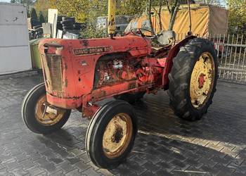 David Brown 990 Sprowadzony