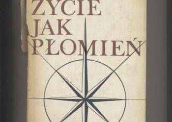 Życie jak płomień   O życiu i pracach Józefa Borowika