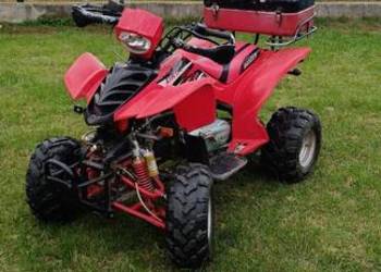 Quad Bashan/Benzer 150