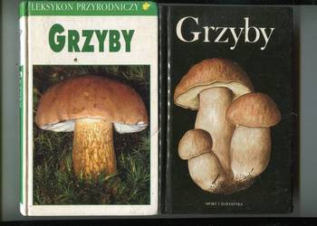 Leksykon przyrodniczy Grzyby - Grunert + Grzyby - Dermek