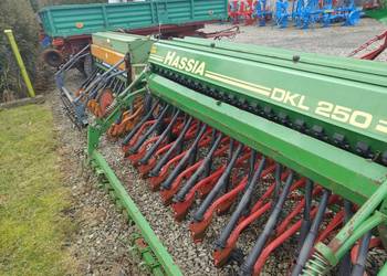 Siewnik Amazone, Hassia