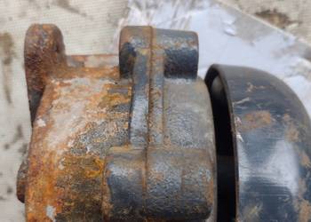 Dzwonek grzechotkowy