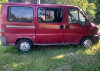 Fiat Ducato 9 osobowy