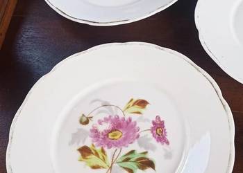 Talerzyki deserowe. Carl Tielsch. CT Altwasser z lat 1875 - 1909