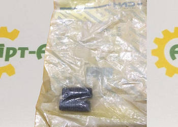 300483 Śruba blokująca CNH