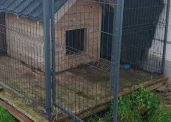 Kojec z budą na dużego psa