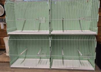 Klatki wystawowe 2GR