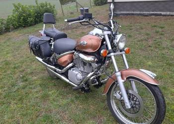 Suzuki intruder vl 125 , bardzo ładny.