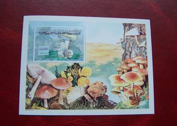 Mauretania 2000 MNH Cięty Flora Grzyby