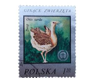 Stary znaczek pocztowy Drop zwyczajny (Otis tarda) Polska 1977 Ptaki antyk