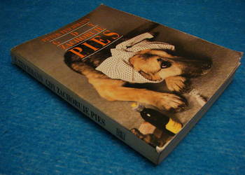 Podręcznik dla osób z psem i są problemy z jego zdrowiem Podręcznik dla osób z psem i są problemy z jego zdrowiem