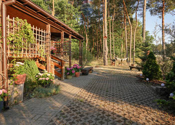 Działka leśna z domkiem na sprzedaż