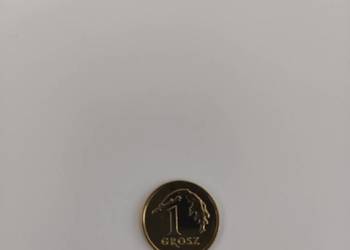 1 gr 2017 stan I