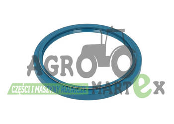 81674C1, F1482194, F198300020510, AL39339, 04359475 USZCZELNIACZ CNH