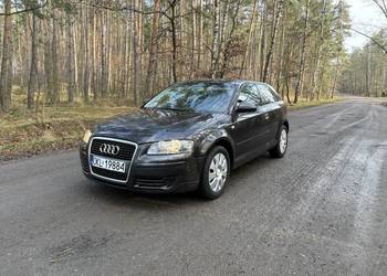 Audi A3 8P 1.9tdi rok 2005 zarejestrowane nowe hamulce okazja klima