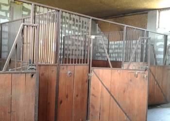 Dom Siedlisko Posiadłość  Gospodarstwo Stajnia dla Koni