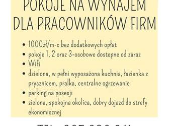 Kutno - Pokoje na wynajem - rooms for rent