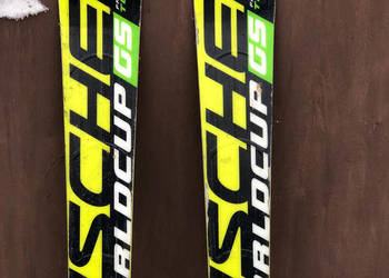 Narty Fisher WorldCup GS 168 R17