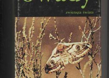Owady  Zwierzęta świata