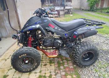 Quuad Dinli Lacki star 300 bardzo mocny