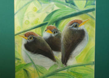 "Ptaki"- obraz, sucha pastel w passe-partout.Daj sie skusic!