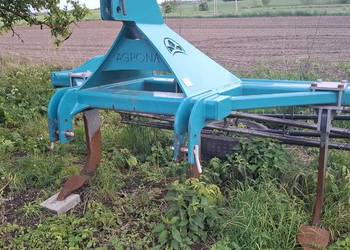 Głębosz 3 łapy agrona