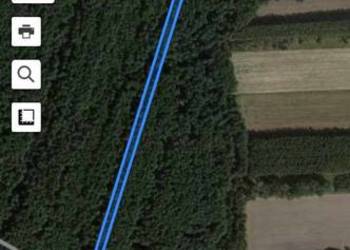 Sprzedam las około 100 letni 69 arów