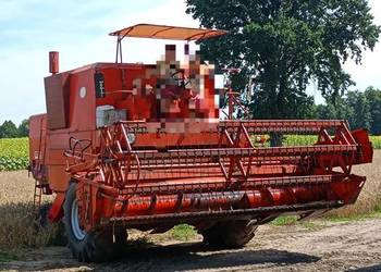 Sprzedam bizon zo56