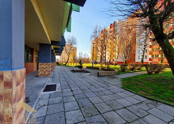 Oferta sprzedaży mieszkania 51m2 2 pokoje Wodzisław Śląski