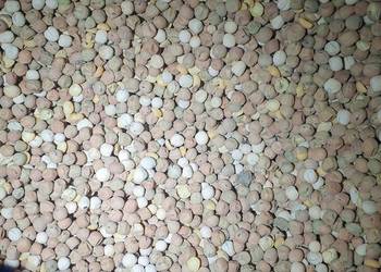 Słonecznik, Owies, Kukurydza, Groch, Sorgo, Gryka, Jeczmień, Pszenica,