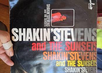 Sakin Stevens - płyta winylowa