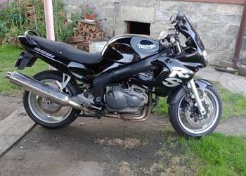 Triumph sprint rs