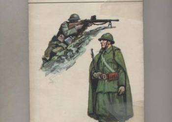 Narwik 1940 - Odziemkowski