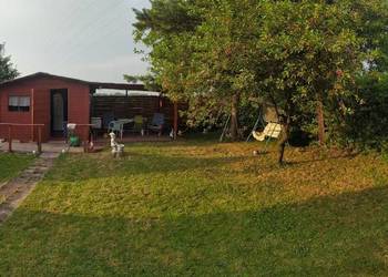 Sprzedam ogródek działkowy zlokalizowany w ROD „Powstaniec” w Chorzowie.