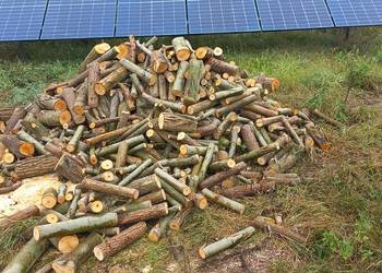 Drewno pocięte liściaste opałowe Białobrzegi