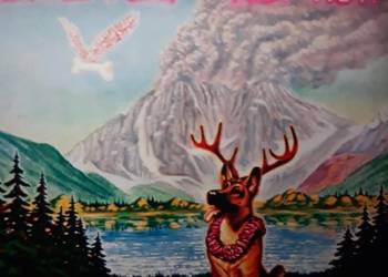Archiwum blues rocka LITTLE FEAT- Hoy- hoy   2 LP  1981.