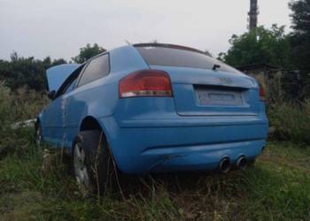Audi A3 8p 1.9 250KM+Wszystkie części