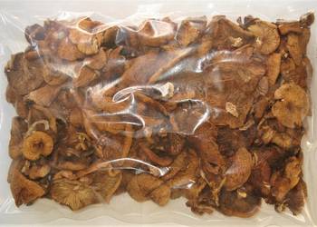 Opieńka suszona 100g  2025