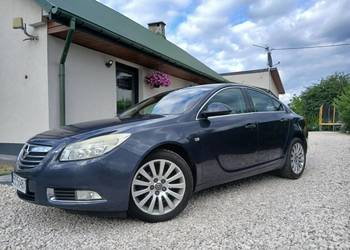 Opel Insignia 2010 2.0 CDTI 160 KM Okazja Manualna skrzynia