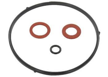 Zestaw uszczelniający 16010ZB1015