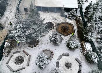 2026 - DNI OTWARTE NA PLANTACJI CHOINKOWEJ