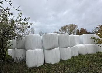 Sprzedam bele lucerny i trawy Sprzedam bele lucerny i trawy