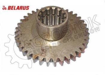 Koło zębate  Z-37 MTZ 1025 / 1221