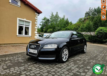 Audi A3 Sportback Lift 1.9 TDI DSG 5 Drzwi Serwis 8P (2003-2012)