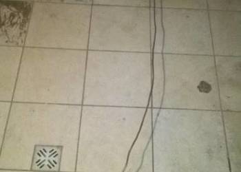 przewód hamulcowy most